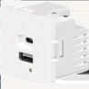 Cargador USB de doble puerto A+C, Blanco. Potencia de salida total: 21W (5V/4.2A), con terminales de tornillo